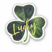 Lucky Green Shamrock Custom-Cut Vinyl Sticker (Voorkant)