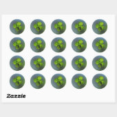 Lucky Green Vierbladige Klaver Ronde Sticker (Vel)