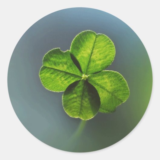 Lucky Green Vierbladige Klaver Ronde Sticker (Voorkant)