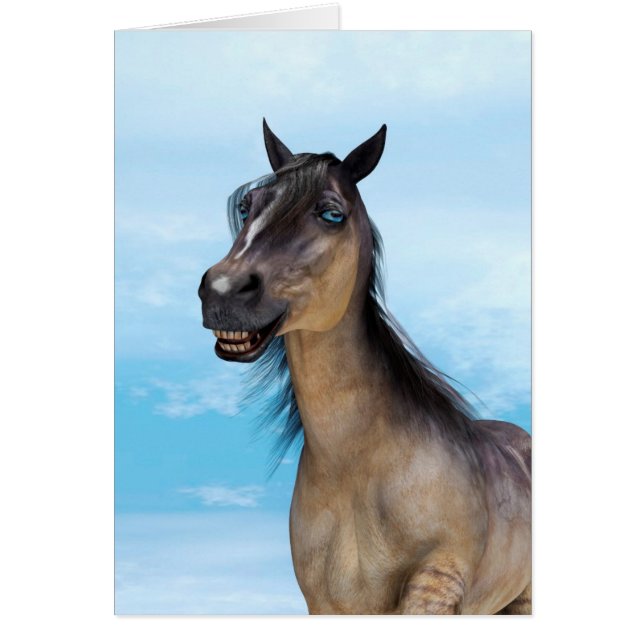 Lucky Horse (Voorkant)