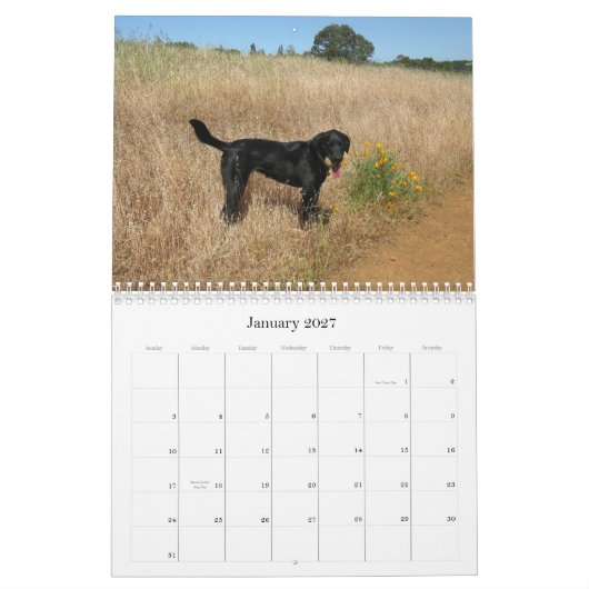 Lucky Hounds Labrador Retriever Agenda 2013 Kalender (Jan 2027)