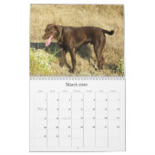 Lucky Hounds Labrador Retriever Agenda 2013 Kalender (Mar 2026)