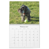 Lucky Hounds Miniatuur Schnauzer Calendar 2013 Kalender (Feb 2027)