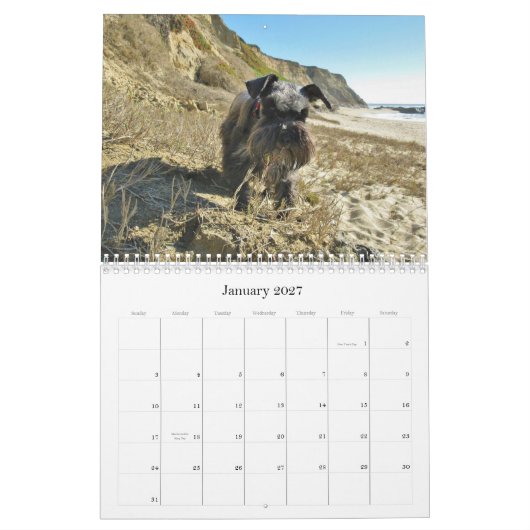 Lucky Hounds Miniatuur Schnauzer Calendar 2013 Kalender (Jan 2027)