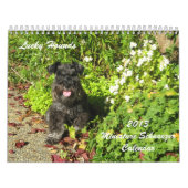 Lucky Hounds Miniatuur Schnauzer Calendar 2013 Kalender (Hoes)