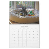 Lucky Hounds Miniatuur Schnauzer Calendar 2013 Kalender (Mar 2026)