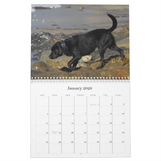 Lucky Hounds Retriever Agenda 2012 Kalender (Jan 2026)