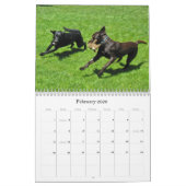 Lucky Hounds Retriever Agenda 2012 Kalender (Feb 2026)