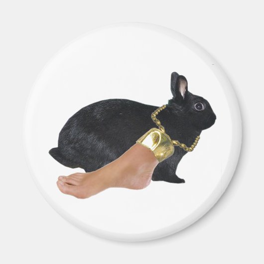 Lucky Human's Foot Magneet (Voorkant)