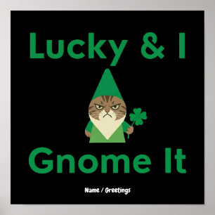 Lucky & I Gnome het Grappig Sarcasme Kat St Patric Poster