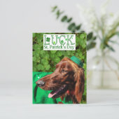 Lucky Irish Setter St. Patrick's Day Briefkaart (Staand voorkant)