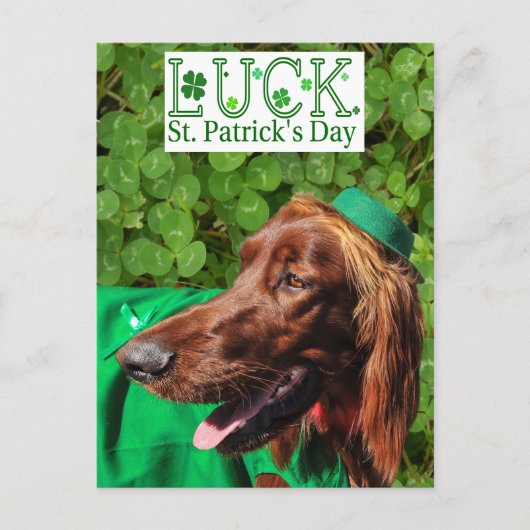Lucky Irish Setter St. Patrick's Day Briefkaart (Voorkant)