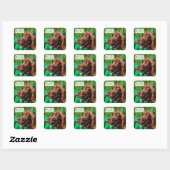 Lucky Irish Setter St. Patrick's Day Stickers (Vel)