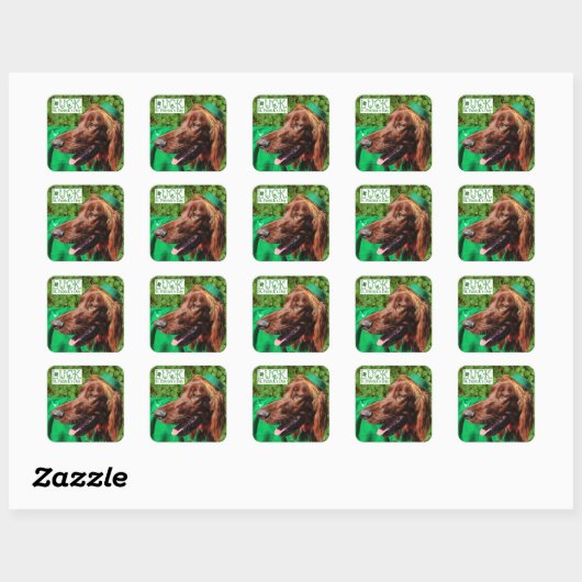 Lucky Irish Setter St. Patrick's Day Stickers (Vel)
