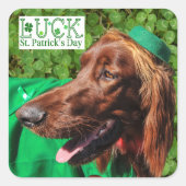 Lucky Irish Setter St. Patrick's Day Stickers (Voorkant)