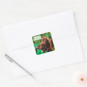 Lucky Irish Setter St. Patrick's Day Stickers (Envelop)