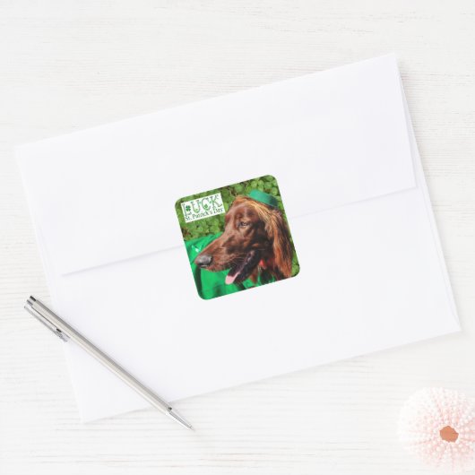 Lucky Irish Setter St. Patrick's Day Stickers (Envelop)
