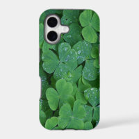 Lucky Irish Shamrocks