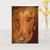 Lucky Kaart (Gele Bloem)