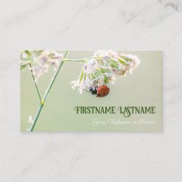 Lucky klanten met gelukkige ladybugs! visitekaartj visitekaartje