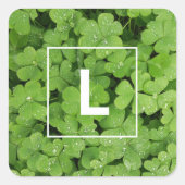 Lucky klaver monogram, groene weide vierkant vierkante sticker (Voorkant)