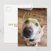 Lucky Lab Feestdagenkaart (Voorkant / Achterkant)