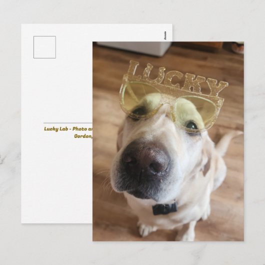 Lucky Lab Feestdagenkaart (Voorkant / Achterkant)