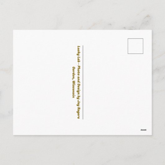 Lucky Lab Feestdagenkaart (Achterkant)