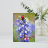 Lucky Lady Bugs Briefkaart (Staand voorkant)