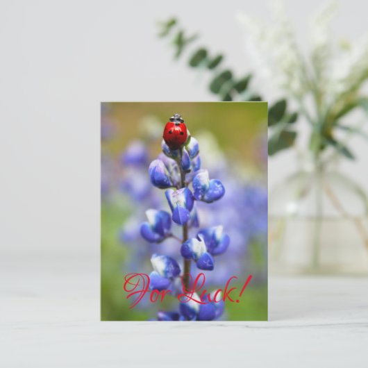 Lucky Lady Bugs Briefkaart (Staand voorkant)