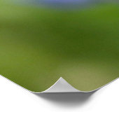 Lucky Lady Bugs Poster (Hoek)