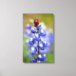 Lucky Lady Canvas Afdruk