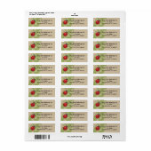 Lucky Ladybug Boek Sticker (Full Sheet)