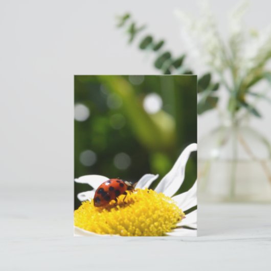 Lucky Ladybug Briefkaart (Staand voorkant)