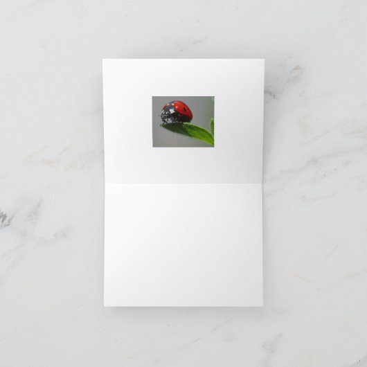 Lucky Ladybug Kaarten (Binnen)