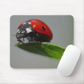 Lucky Ladybug Lovers giften Muismat (Met muis)