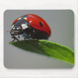 Lucky Ladybug Lovers giften Muismat