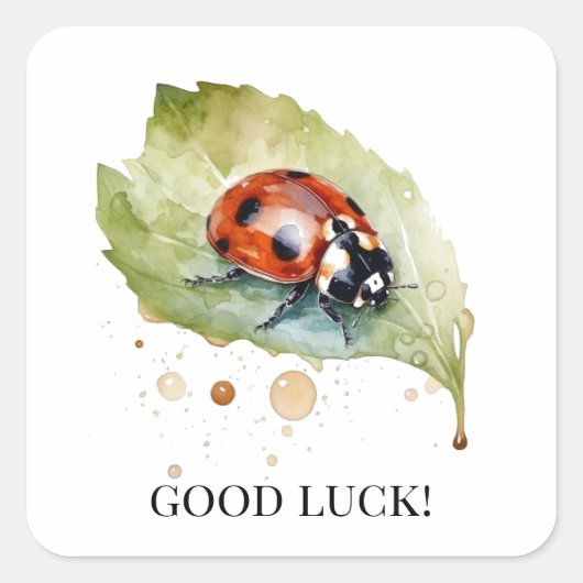 Lucky Ladybug op Leaf Vierkante Sticker (Voorkant)