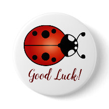 Lucky Ladybug Red Oranje Ladybird Good Luck