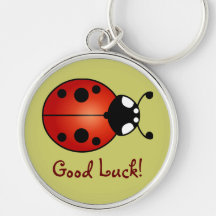 Lucky Ladybug Red Oranje Ladybird Good Luck