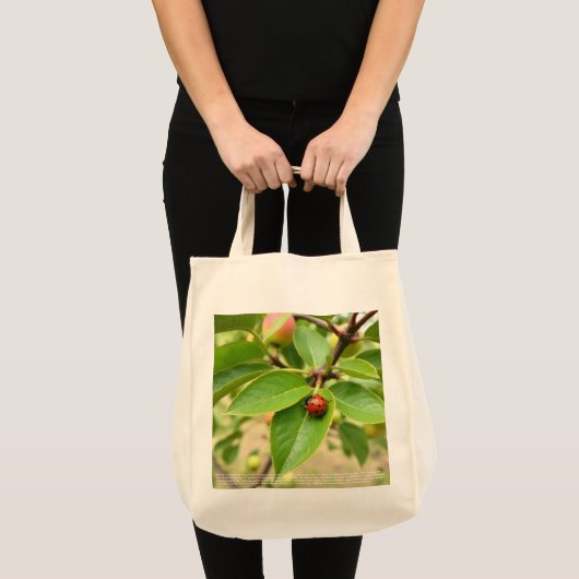 Lucky Ladybug Tote Bag (Voorkant (product))