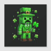 Lucky Leprechaun Grappige St. Patrick's Dag Videos (Voorkant)