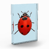 Lucky Lieveheersbeestje Fotoblokken (Links)