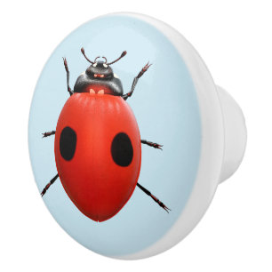 Lucky Lieveheersbeestje Keramische Knop