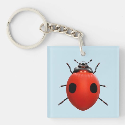 Lucky Lieveheersbeestje Sleutelhanger (voorkant)