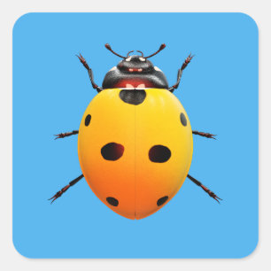 Lucky Lieveheersbeestje Vierkante Sticker