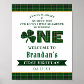 Lucky Little Shamrock 1st Birthday Welkom Poster (Voorkant)