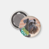 Lucky Miniature Schnauzer Magneet (Voorkant / Achterkant)