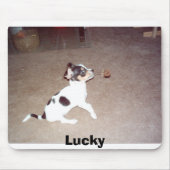 Lucky Muismat (Voorkant)