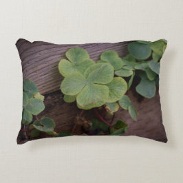 Lucky of vastberaden? Saint Patricks Day Shamrocks Accent Kussen